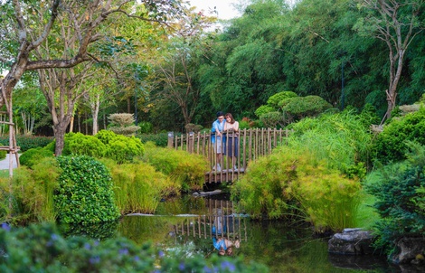 Cách Solaria Rise chinh phục thế hệ an cư mới lẫn giới đầu tư