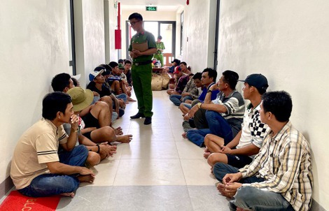 Cà Mau: 41 người cùng sát phạt bằng hình thức đá gà ăn tiền