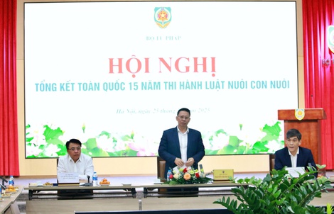 Hơn 4.700 trẻ em Việt Nam được giải quyết làm con nuôi ở nước ngoài