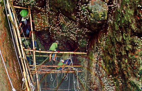 Yến sào Khánh Hòa tham gia cứu hộ, cứu trợ kịp thời cho bà con và CB-CNV vùng ngập lũ