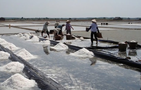 Hạt muối Lý Nhơn “vượt sóng”