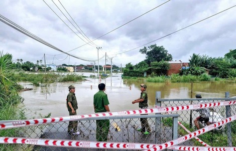 Gia Lai ứng phó bão số 15 và mưa lũ với tinh thần “đắt lo, ế mừng”