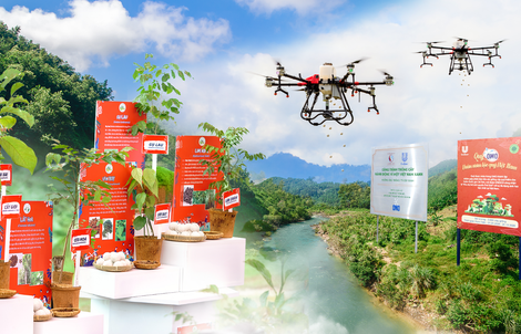 OMO đạt mốc mục tiêu trồng 1 triệu cây xanh, lan tỏa tinh thần sống xanh đến hàng triệu người Việt