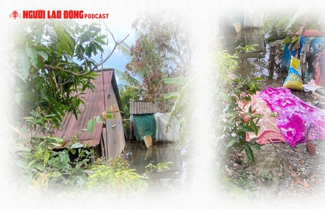 Đau lòng 2 mẹ con chết trong căn nhà ngập nước ở Đồng Tháp