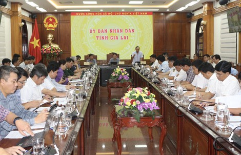Chủ tịch tỉnh Gia Lai yêu cầu lên phương án sử dụng máy bay không người lái ứng phó bão Kalmaegi