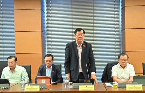 Người nước ngoài làm giám đốc doanh nghiệp nhà nước, có phải kê khai tài sản, thu nhập?