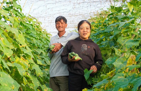 Tạo "vùng đệm" để ngăn tái nghèo