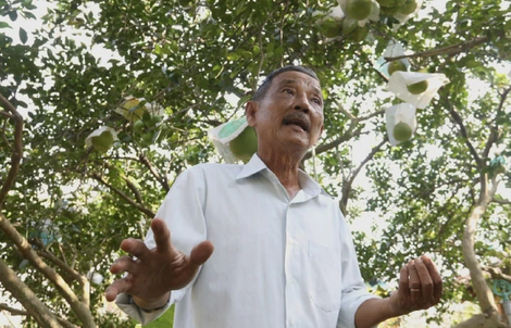 Công nghệ giúp người nông dân ở TPHCM "đổi đời"