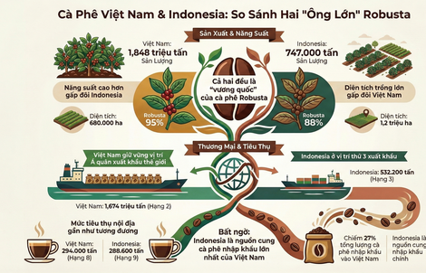 Giá cà phê hôm nay 22-12: Điều bất ngờ từ đối thủ cà phê Indonesia