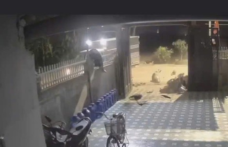 VIDEO: Tông vào xe tải, nam thanh niên đi trên xe máy bị hất văng lên hàng rào nhà ven đường