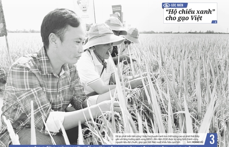 Báo in Người Lao Động 22-12: Thưởng Tết khả quan, an tâm làm việc