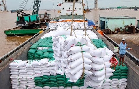 "Hộ chiếu xanh" cho gạo Việt