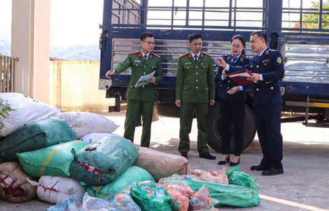 Bí mật giấu kín trong 40 bao tải trên xe ô tô đậu ven đường