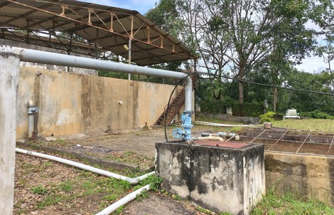 Quảng Ngãi: Hơn 4.000 người dân thiếu nước sinh hoạt