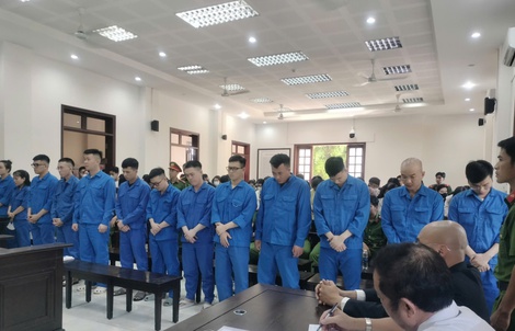 Kẻ chủ mưu và đồng phạm vụ dự án ma lừa đảo hơn 255 tỉ đồng lĩnh án