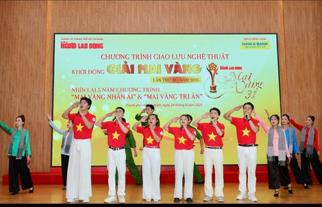 Giải Mai Vàng lần thứ 31 - 2025: Bảng xếp hạng sau 14 ngày bầu chọn