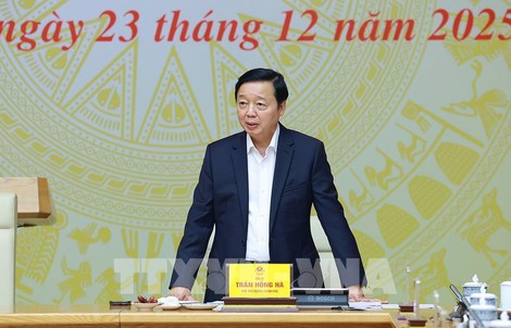 Phó Thủ tướng chỉ đạo xử lý nghiêm đường dây môi giới tàu cá ra nước ngoài khai thác trái phép