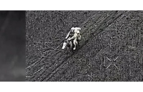 Điểm nóng xung đột ngày 24-12: Binh sĩ Nga dùng cách  "lạ", Ukraine tấn công đội tàu Nga