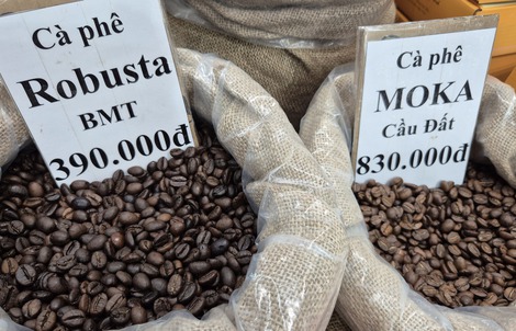 Giá cà phê hôm nay 24-12: Việt Nam là nguồn cung cà phê số 1 cho Tây Ban Nha