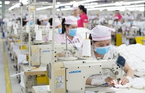 Công ty TNHH Panko Vina giải thể: Quyền lợi người lao động giải quyết ra sao?