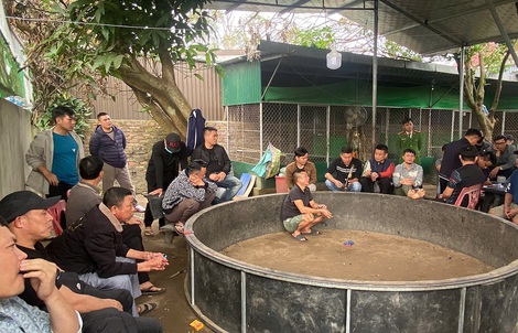 Bí mật bên trong sới bạc có sự tham gia của các chủ trang trại