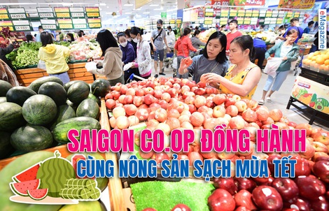 Saigon Co.op đồng hành cùng nông sản sạch mùa Tết