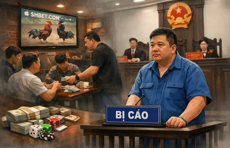 Mở quán cà phê, tổ chức đánh bạc rồi... vào tù