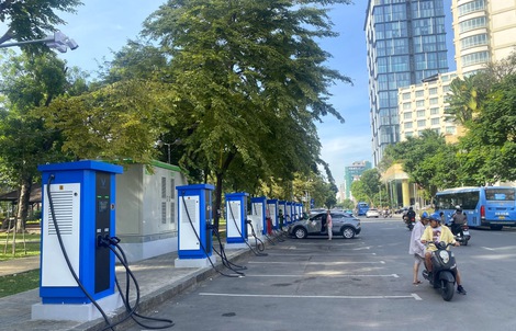 TPHCM trồng thêm 15.000 cây phân tán