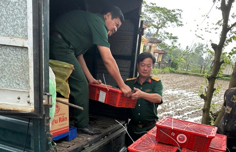 Hình ảnh bàn giao 676 con rắn hổ mang, nặng hơn 920kg ở Quảng Trị