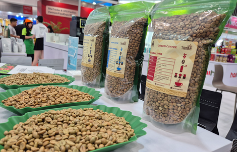 "Cân não" trước vụ cà phê mới