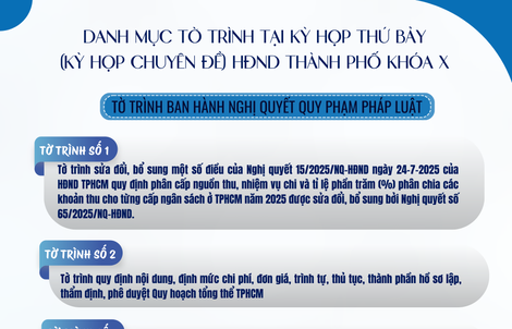 Danh mục 28 tờ trình dự kiến tại Kỳ họp thứ 7 HĐND TPHCM khóa X