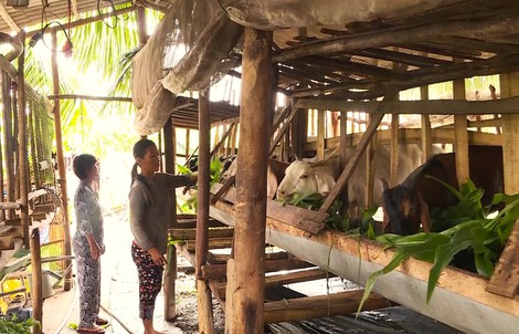 Kết quả ấn tượng của Cà Mau trong công tác giảm nghèo bền vững