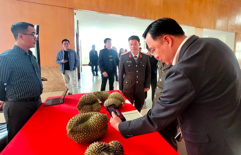 Thí điểm truy xuất nguồn gốc sầu riêng từ đầu năm 2026