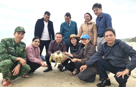 Dính "lưới ma", con vật quý mắc cạn