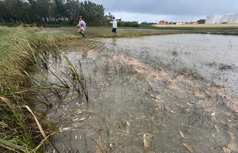 Xác định nguyên nhân tràn dầu ở Quảng Ngãi, khẩn trương khắc phục hậu quả