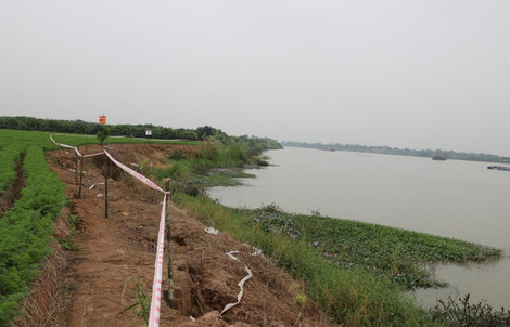 Một giám đốc công ty bị khởi tố 