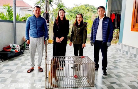 Chuyện hiếm gặp giữa khu dân cư ở Quảng Trị