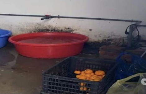 Phát hiện loạt vi phạm trong cung cấp suất ăn bán trú cho học sinh