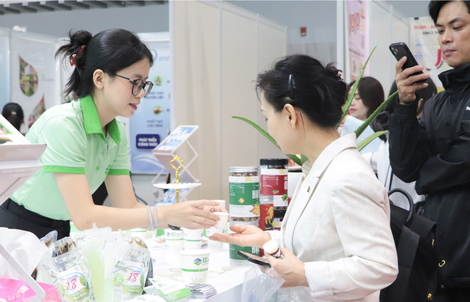 Đi làm Tết Dương lịch, lương cao nhất lên tới 490%