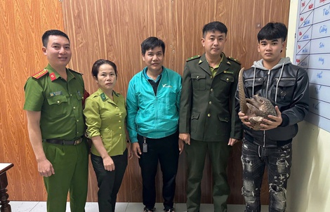 Phát hiện tê tê quý hiếm, người dân giao nộp nhà nước