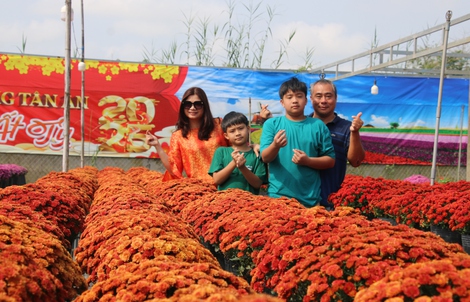 Nhiều tuyến du lịch trải nghiệm phục vụ du khách đến Festival Hoa - Kiểng Sa Đéc