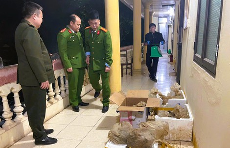 Cứu hộ 12 con vật quý hiếm được công an phát hiện trên ô tô 7 chỗ