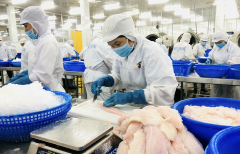 Báo cáo mới của ILO về xu hướng việc làm tại Việt Nam