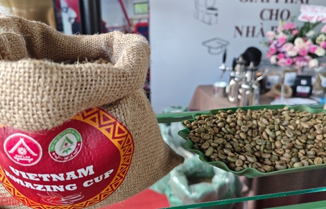 Giá cà phê hôm nay 17-3: Loại cà phê không phụ thuộc giá sàn