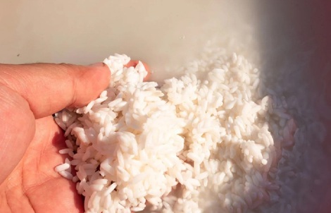 Hợp chất tăng tuổi thọ có trong "thứ bỏ đi" khi nấu rượu gạo?