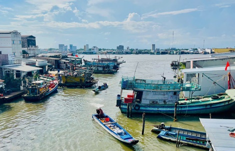 "Vượt sóng": Chuyện về thành phố 50 mùa hoa