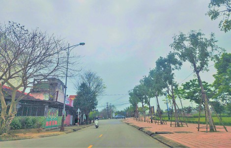 Quảng Bình: Khởi tố 22 bị can liên quan đến đại án Cây xanh Công Minh