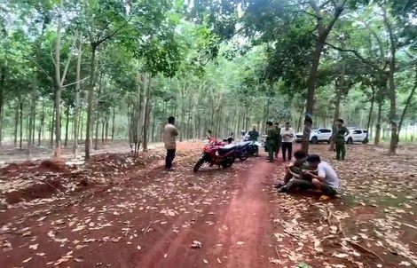 Bàng hoàng phát hiện thi thể nam giới treo lơ lửng trên cây cao su