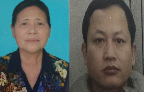 Nữ giám đốc 2 công ty khai thác đá gây thất thoát hàng chục tỉ đồng