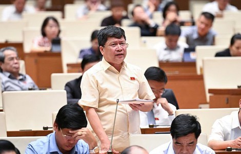 Đại biểu Quốc hội: Tại sao Luật Quy hoạch sửa nhiều lần mà vẫn rối?